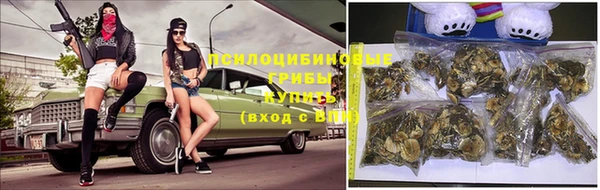 скорость Алексин