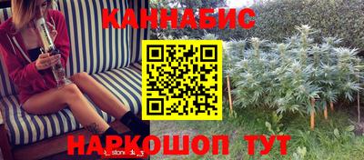индика Комсомольск-на-Амуре