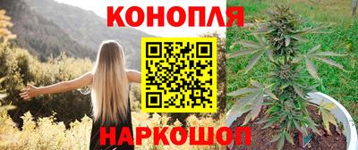 трава Краснодар