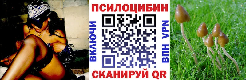 даркнет наркотические препараты  mega ссылка  Балашов  Псилоцибиновые грибы прущие грибы 
