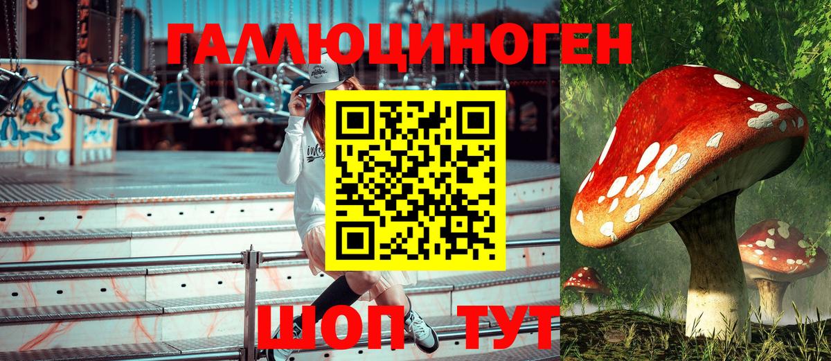 Псилоцибиновые грибы ЛСД Балашов
