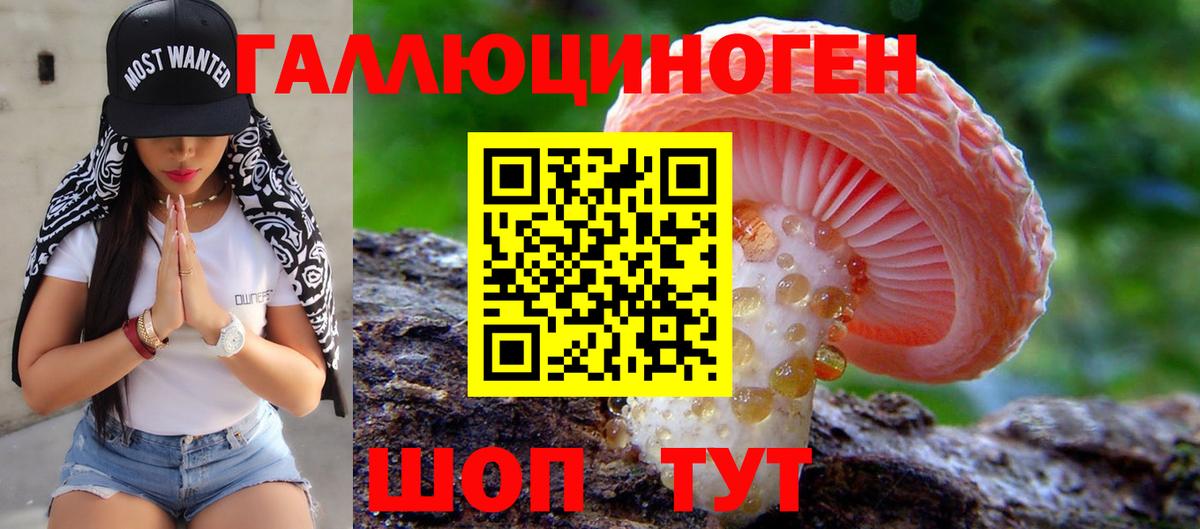 Галлюциногенные грибы Psilocybe  Вход с VPN  Балашов 